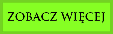 Terminale Płatnicze Ingenico Move 3500